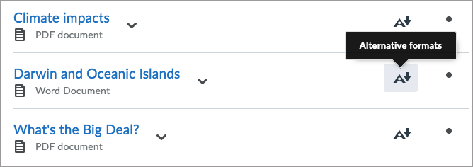 Ally Alternative Format Example